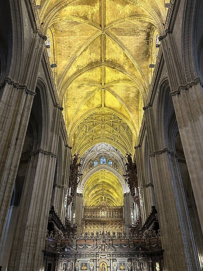 IMG_1162.jpeg 스압) 외노자의 말라가 세비야 방문기