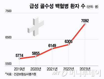 급성 골수성 백혈병 환자 수/그래픽=윤선정