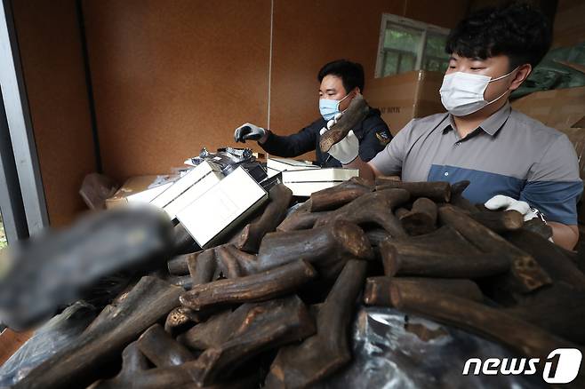 (사진은 기사 내용과 무관함) / 뉴스1 ⓒ News1 정진욱 기자