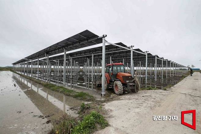 전남 영광군 염산면 월평읍 농경지에 설치된 영농형태 태양광 발전소. 강진형 기자
