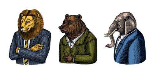 게티이미지코리아