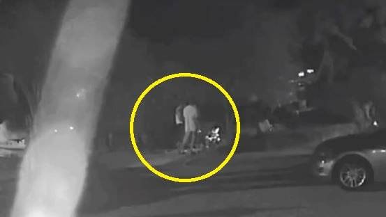 경남 거제에서 현역 해병대 병사 2명이 민간인과 함께 반려견 4마리에게 비비탄총을 무차별 난사한 사건이 발생했다. 1마리는 숨지고 2마리는 안구 손상을 입었다. 경찰은 동물보호법 등 혐의로 입건할 방침이다. 비글구조네트워크 인스타그램 캡처