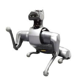 샤오미가
2021년 개발한
사족보행로봇 ‘사이버독’