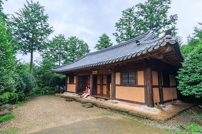 편백숲 우드랜드