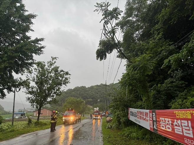 비 피해로 인한 사고 현장. 충북소방본부 제공