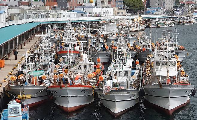 올해들어 26척이 감척을 신청하는 등 저동항에 오징어 어선이 확 줄었다. /김두한 기자