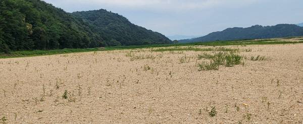 선몽대의 넓은 백사장