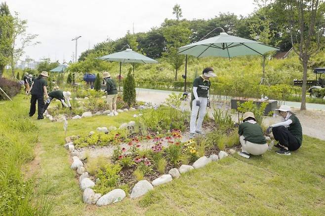 양천구는 올해 서울시 최초로 '주민참여정원 조성사업'을 벌였다. 정원을 분양 받은 주민들이 자신의 정원을 가꾸고 있다. 양천구 제공.