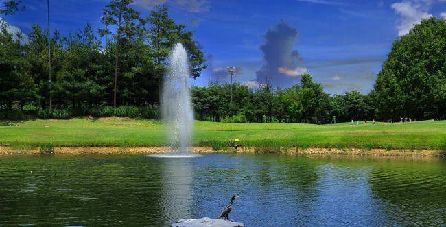 고양 스프링힐스CC의 전경이다. 사진제공=스프링힐스CC