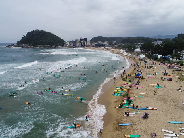 서핑 명소로 유명한 강원 양양군 현남면 죽도해수욕장이 파도를 즐기는 서퍼들로 가득 차 있다. 양양군청 제공