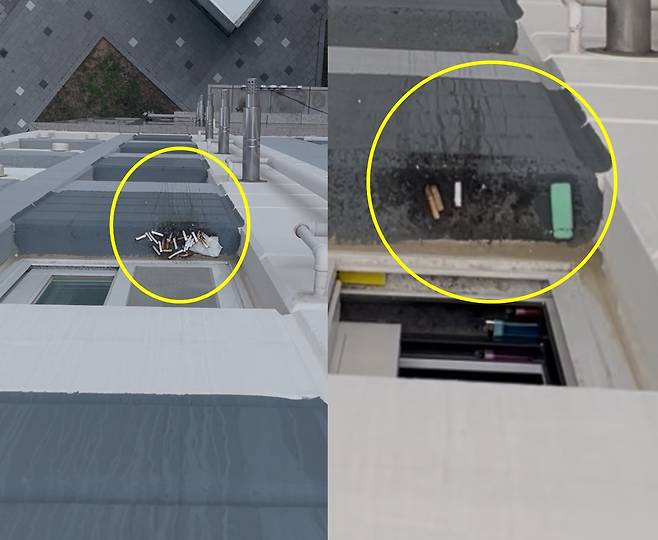 (보배드림 갈무리)