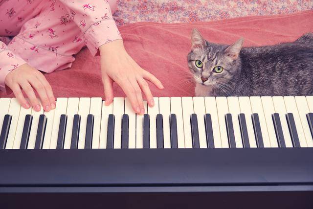 게티이미지뱅크