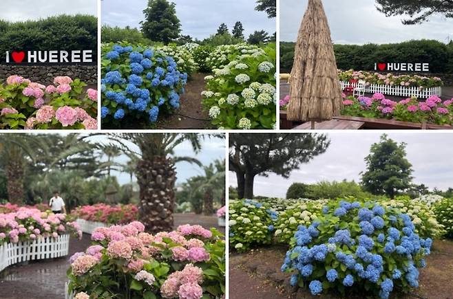 휴애리 자연생활공원 / 사진=홍지연 여행+ 기자