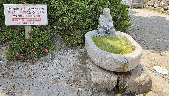 느티나무 아래 동자승 수반(샘물)