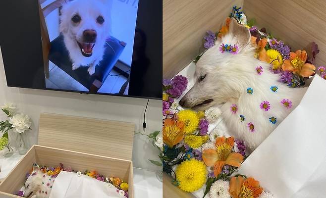 김하영 소셜네트워크서비스 계정