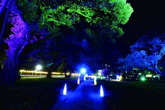 경북 성주 성밖숲