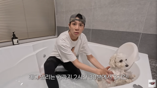 가수 정동원/유튜브 채널 '정동원(JD1)'