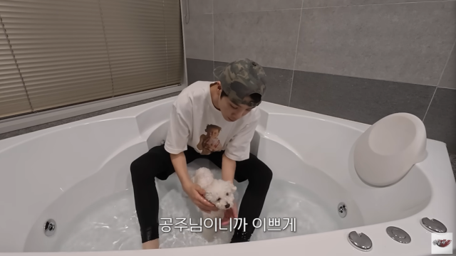 가수 정동원/유튜브 채널 '정동원(JD1)'