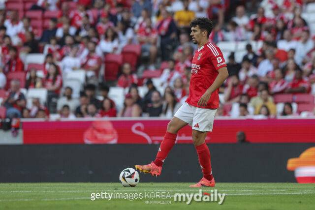 아라우호/게티이미지코리아