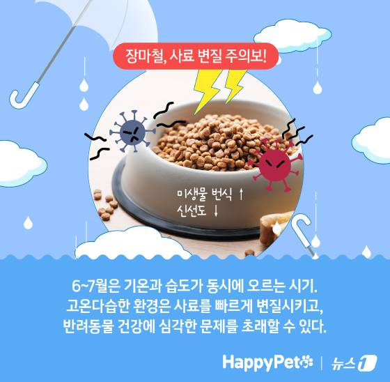 ⓒ News1 김지영 디자이너