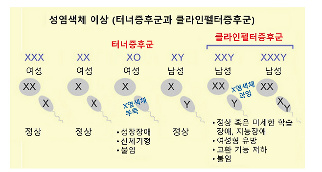 사춘기가 늦어도 당황하지 마세요... 지연된 2차 성