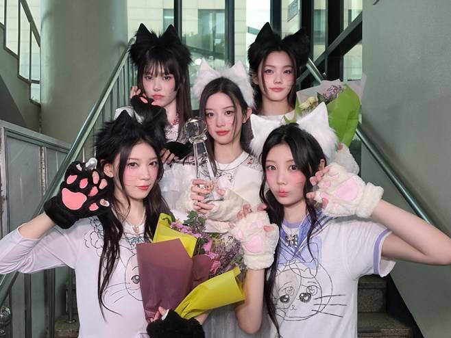 티브이데일리 포토