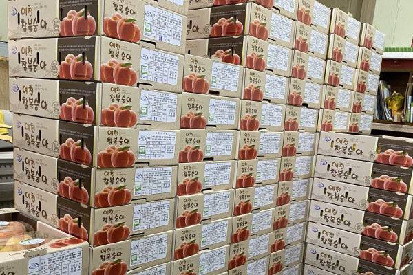 예천 참 복숭아