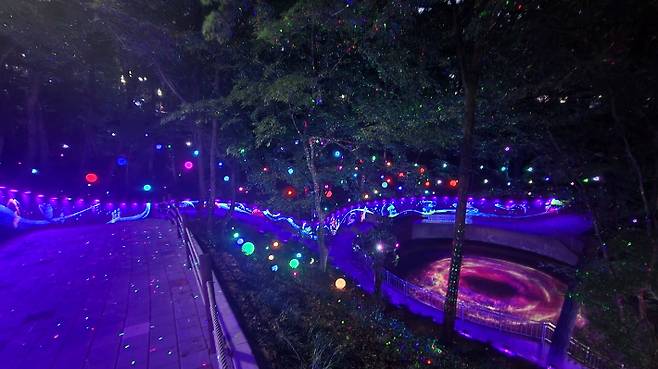 사직 빛의 숲. 광주광역시 제공