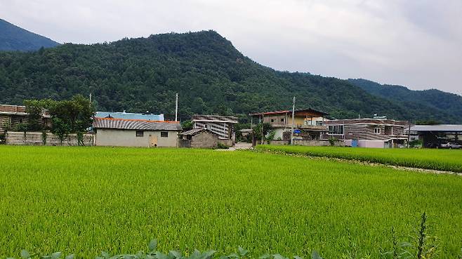 하흘리 마을 농촌풍경. 연합뉴스
