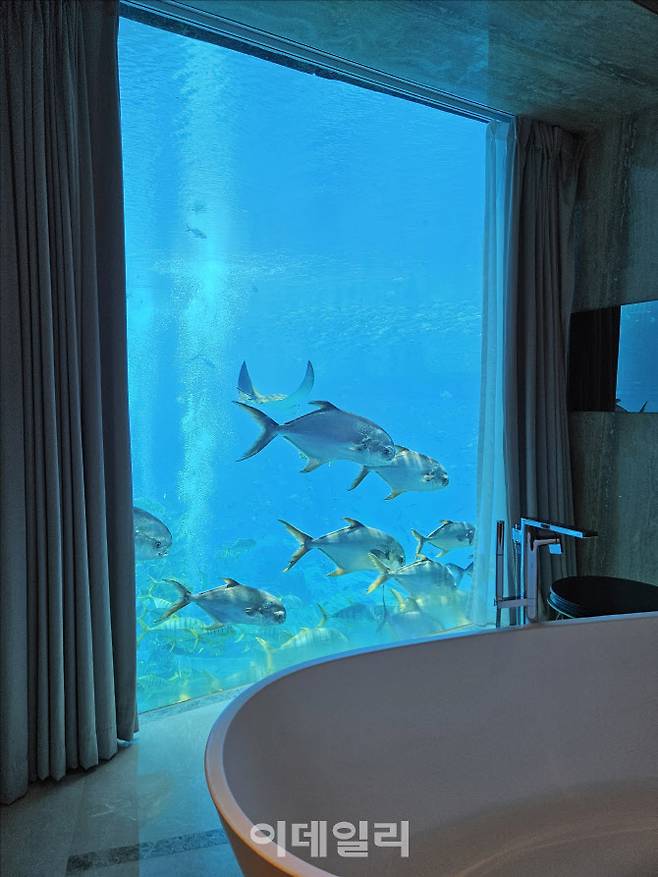 중국 하이난성 싼야시의 아틀란티스 싼야 스위트룸 창밖으로 물고기들이 헤엄치고 있다. (사진=이데일리 이명철 특파원)