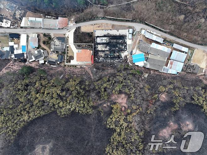 지난 3월22일 발생한 경북 산불 현장.(뉴스1 자료)ⓒ News1 DB