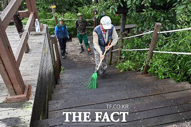 관계자들이 러브버그의 사체를 청소하고 있다.