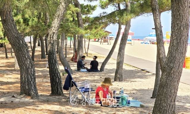 ▲ 30일 강릉 낮 기온이 35도를 웃돌자, 관광객들이 경포해변 송림 그늘을 찾아 무더위를 피하고 있다. 황선우 기자