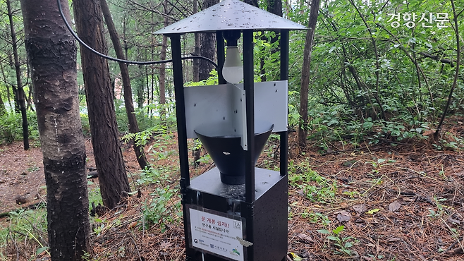 지난 25일 서울 은평구 주거지역과 인접한 산에 붉은등우단털파리(러브버그) 친환경 방제를 위한 광원 포집기가 설치돼 있다. 강한들 기자