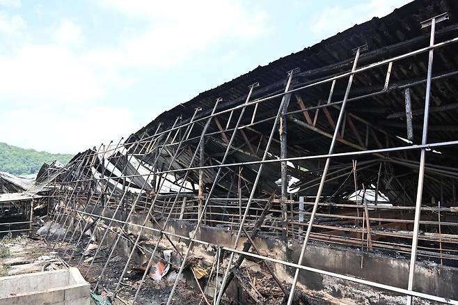 대구 군위군 돈사 화재 현장. 대구소방안전본부 제공