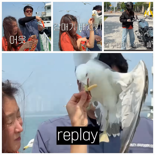 사진 = 유튜브 ‘뿌시영’