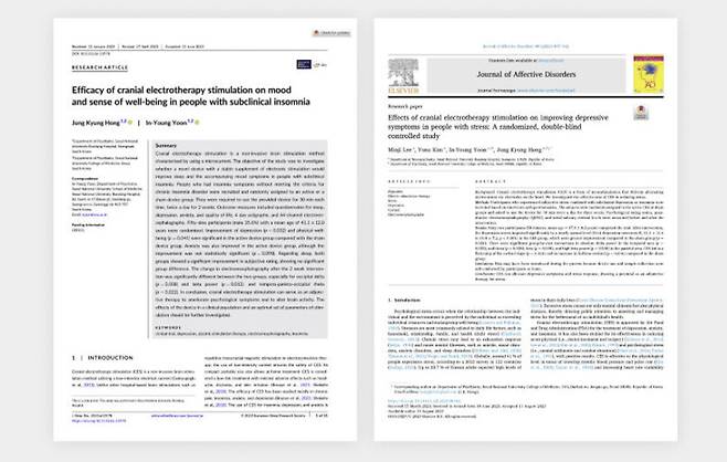리솔이 두개전기자극과 뇌파동조기술의 효과에 대해 발표한 논문 두 건. 논문 내용은 리솔 홈페이지에 공개돼있다/사진=리솔 홈페이지