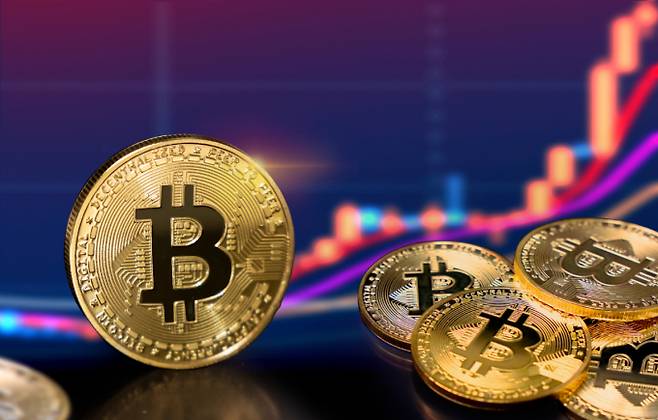 20~50대 절반이 가상자산에 투자해본 적이 있으며 4명 중 1명은 가상자산을 보유하는 것으로 조사됐다. 사진은 기사 내용과 무관. /사진=클립아트코리아