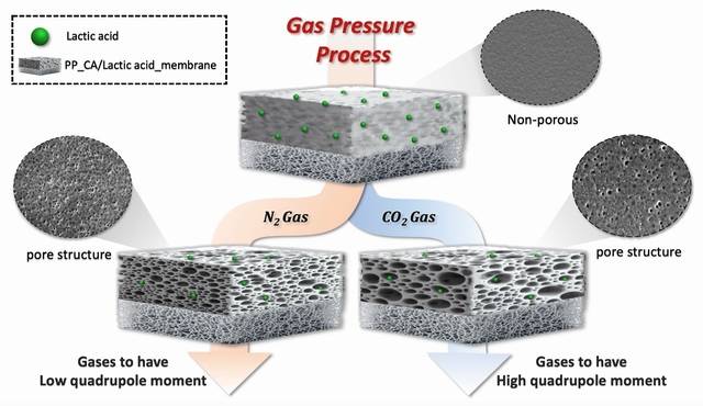 강상욱 상명대 교수 연구팀이 개발에 성공한 기술 개발도. 상명대 제공