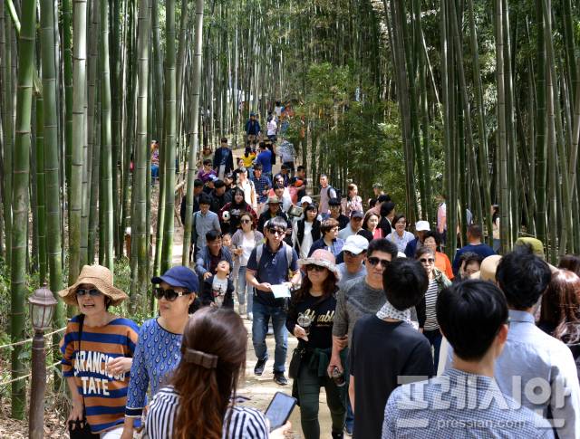 ▲죽녹원 인파ⓒ담양군