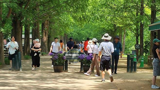 '내륙관광 1번지'를 표방하는 전남 담양군이 지난해 2·3분기에 이어 3분기 연속 전남 16개 인구감소지역 중 생활인구 1위를 기록했다. 또 담양을 찾은 체류인구가 등록인구의 7.7배 달한 것으로 나타났다. 담양 대표 관광지 중 하나인 메타세쿼이아길이 관광객들로 북적이고 있다. ⓒ시사저널 정성환