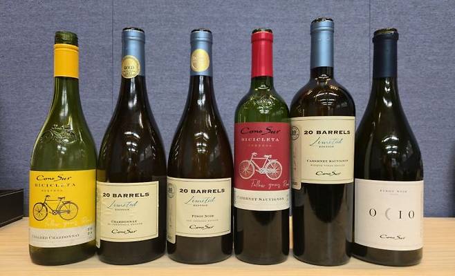 '코노 수르(Cono Sur)'의 대표 와인.