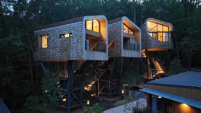 서울 노원구 수락산 자락에 위치한 도심형 자연휴양림 ‘수락휴’의 트리하우스 전경. 지상 14m 높이의 나무 위에 지어진 숙소로, 천장 일부가 유리로 돼 있어 밤하늘을 바라보며 숙박할 수 있다. 노원구 제공