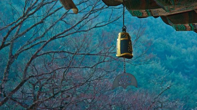 지리산 천년고찰 화엄사의 여름밤 '화야몽' / 사진=화엄사홍보기회위원회 제공