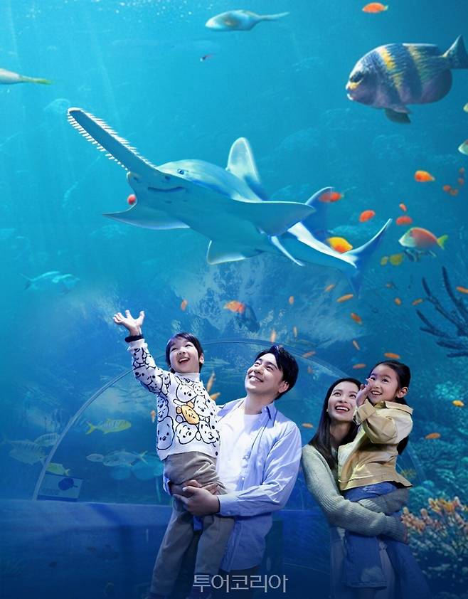 칭다오 해저세계/ 사진제공 = 칭다오 문화관광국