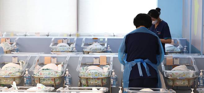 경기도 고양의 한 병원 신생아실에서 간호사들이 신생아들을 돌보고 있다. /뉴시스