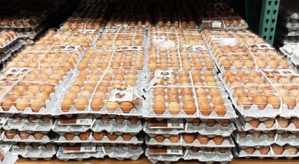 매장에 진열된 계란.