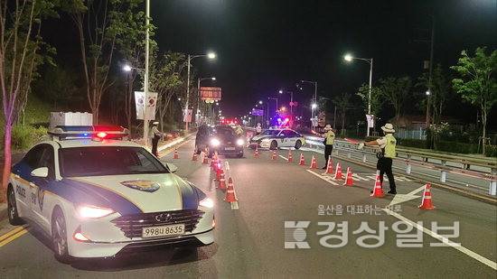 ▲ 울산경찰은 여름철 음주운전 증가에 선제적으로 대응하기 위해 지난달 16일부터 29일까지 2주간 특별단속을 실시해 총 182건의 음주운전을 적발했다. 울산경찰청 제공