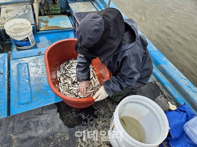 경기도해양수산자원연구소 관계자가 평택 남양호 수생태계 확인을 위해 민물고기를 채집하고 있다.(사진=경기도)