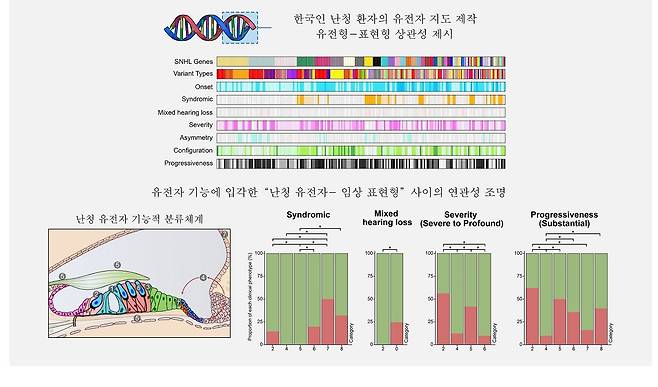 감각신경성 난청 유전자 분석 과정. /서울대병원